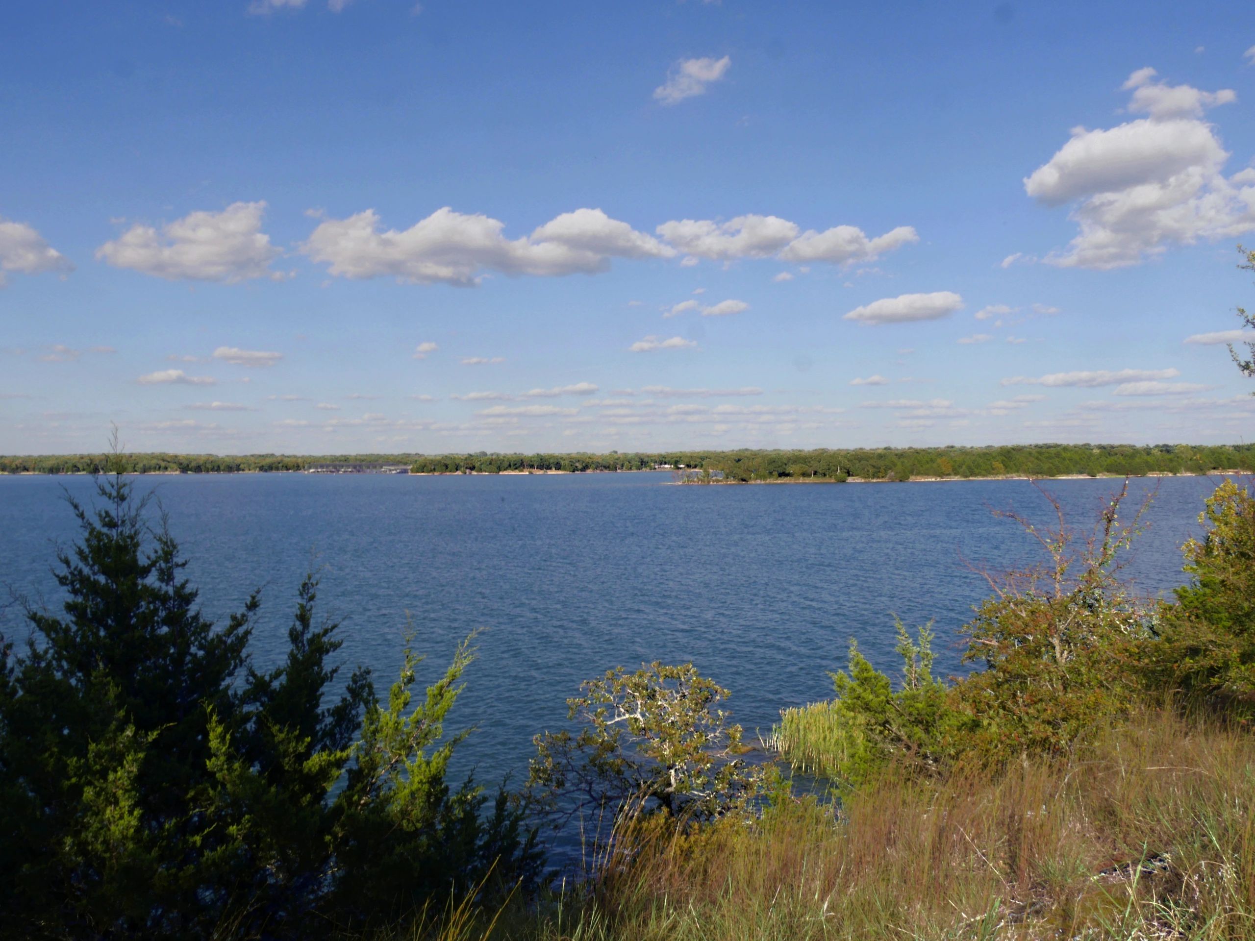 Lake shoreline and open water